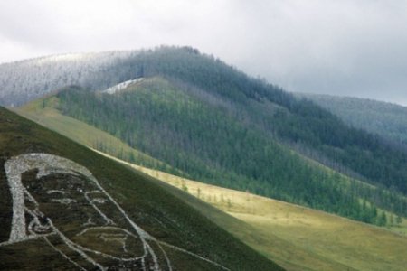 Богд уулын дархан цаазат газрын хамгаалалтын захиргаанаас мэдэгдэл гаргажээ