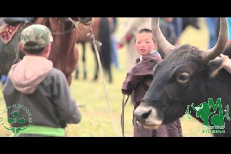 Mongol yak Festival/Сарлагийн баяр