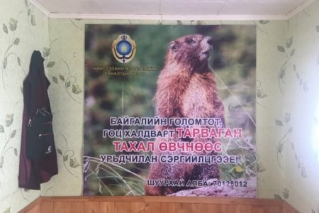 ТАРВАГАН ТАХАЛ ӨВЧНӨӨС УРЬДЧИЛАН СЭРГИЙЛЬЕ!