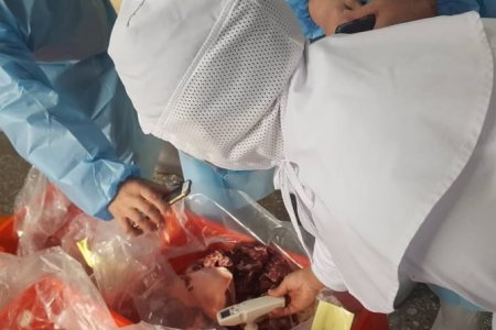 МАХ, МАХАН БҮТЭЭГДЭХҮҮН БОЛОВСРУУЛАХ ҮЙЛДВЭРҮҮДЭД ХЯНАЛТ ШАЛГАЛТ ХИЙЖ БАЙНА