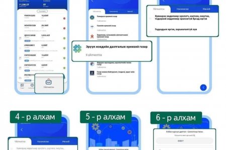 ЭРҮҮЛ МЭНДИЙН ДААТГАЛЫН ШИТГЭЛЭЭ EBARIMT АППЛИКЕЙШНЭЭР ТӨЛӨХ ЗААВАР 