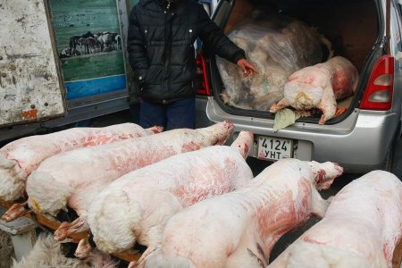 Зөвшөөрөлгүй газар ууц, өвчүү чанавал орлогыг нь хураана