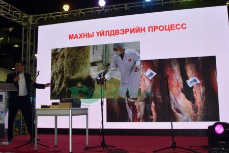 С.Дивангар: Монгол малын махыг “эко” гэдгийг олон улсын зах зээлд харуулна