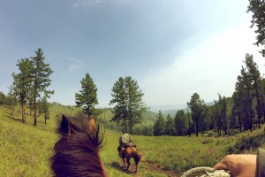 Horse Trekking Tour