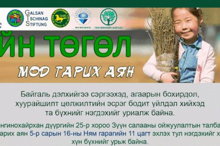 Сонгинохайрхан дүүрэгт 3000 гаруй мод тарина