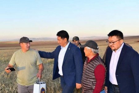 Улаанбуудайн хэрэгцээг дотоодоос бүрэн хангана