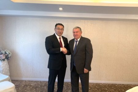 УУХҮ-ийн сайд Д.Сумъяабазар И.И.Сечинтэй уулзав