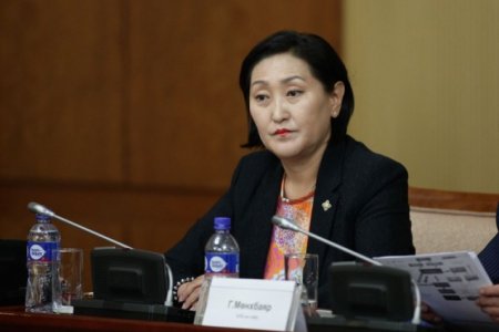 Ц.Цолзолмаа: ЭЕШ-ийн дүн долдугаар сарын 1-нд гарна