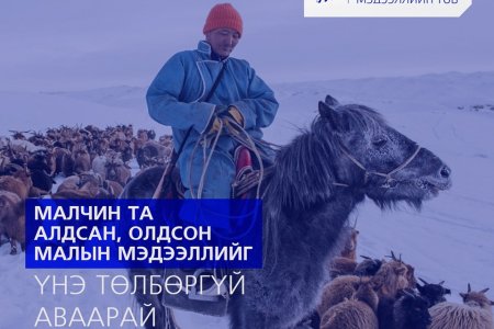 Малын хулгайтай тэмцэх 