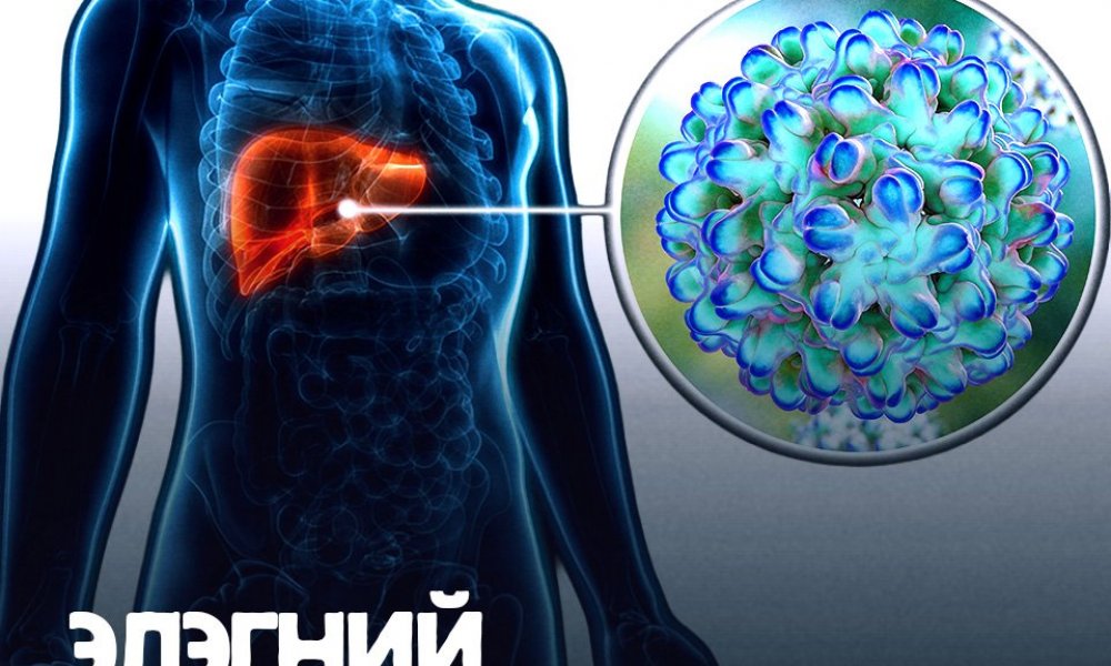 Элэгний D вирусийн аюул