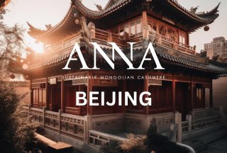 Anna Cashmere in Beijing