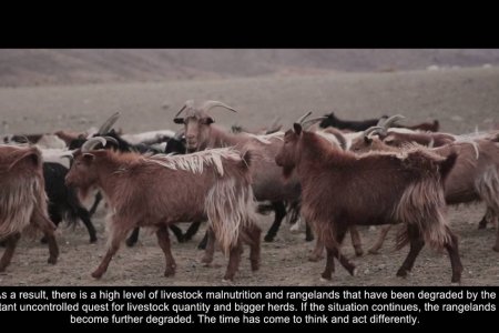 Resilience and PUG based rangeland management (with Eng subtitle)