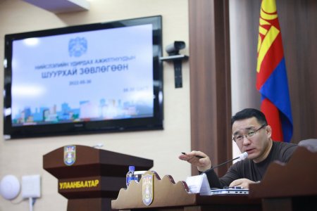 Хүүхдийн парк, Төв цэнгэлдэх хүрээлэнг зүлэгжүүлэх, тохижуулах ажлуудыг эрчимжүүлнэ