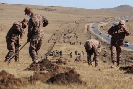 Төв аймгийн Аргалант сумын нутагт засмал зам дагуу 2000 мод тарих ажлыг эхлүүллээ