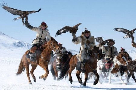 Бүргэдийн баяр ирэх гуравдугаар сарын 3-4-нд болно