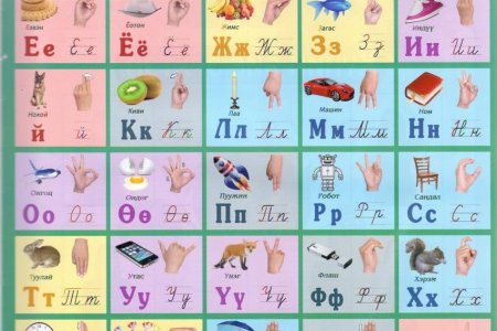 Сонсголгүй иргэдэд мэдээллийг дохионы хэлний хэлмэрч, орчуулагчгүйгээр хүргэх нь өнгөгүй зурагтай ижил