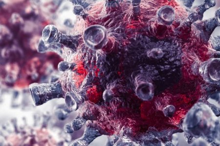 Томуугийн дэгдэлтийн үед Ротавирусын халдвараас хүүхдээ хэрхэн хамгаалах вэ?