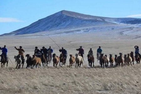 “Агтана хүрээт-2019” Шилийн богд хайрхны энгэрт боллоо