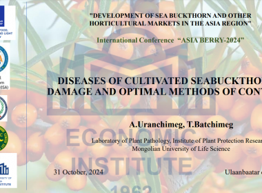 DISEASES OF CULTIVATED SEABUCKTHORN, DAMAGE AND OPTIMAL METHODS OF CONTROL