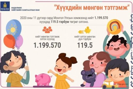 ХҮҮХДИЙН МӨНГӨ, ТЭТГЭМЖ, ХАЛАМЖ, ХҮНСНИЙ ХАНГАМЖ ОЛГОСОН БАЙДАЛ