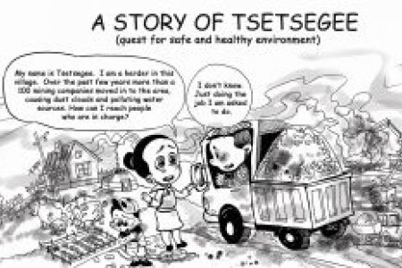 Story of TSETSEGEE