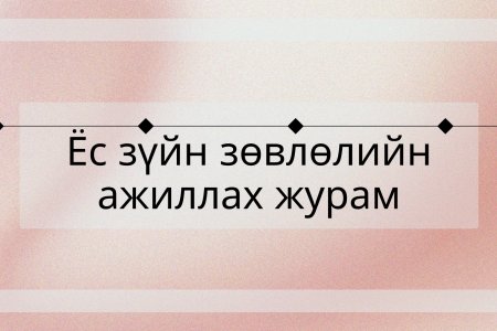 Ёс зүйн зөвлөлийн ажиллах журам