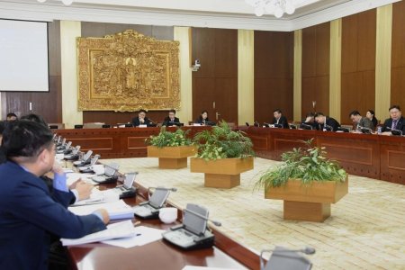 Хөгжлийн бэрхшээлтэй иргэдийн хөгжлийн ерөнхий газар байгуулна