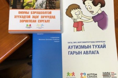 ЭМЯ: АУТИЗМЫН ТУХАЙ ГАРЫН АВЛАГА