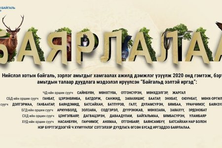 Гэмтсэн амьтны дуудлага ирүүлсэн иргэдэд талархал илэрхийлье