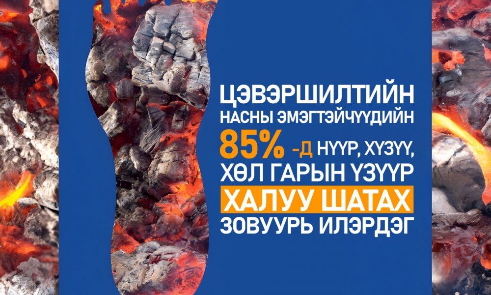 Цэвэршилт ба халуу шатах мэдрэмж