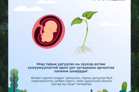  ТЭРБУМ МОД үндэсний хөдөлгөөний хүрээнд мод тарих ажил явагдаж байна.