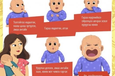 Таны хүүхэд өлсөж байгаагаа дараах байдлаар илэрхийлдэг:
