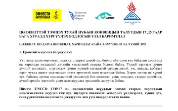 ЦӨЛЖИЛТТЭЙ ТЭМЦЭХ ТУХАЙ НҮБ-ЫН КОНВЕНЦЫН ТАЛУУДЫН 17 ДУГААР  БАГА ХУРАЛД ХҮРГҮҮЛЭХ БОДЛОГЫН ҮЗЭЛ БАРИМТЛАЛ 