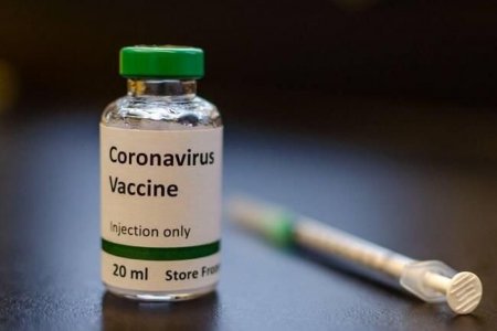 Д.Нямхүү: Өчигдөр 217 хүнд шинжилгээ хийхэд коронавирусийн халдвар илрээгүй