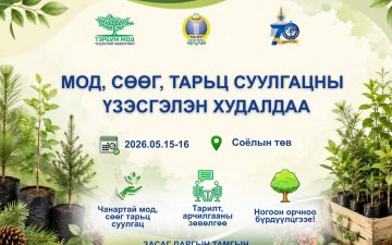 МОД, СӨӨГ, ТАРЬЦ СУУЛГАЦНЫ ҮЗЭСГЭЛЭН ХУДАЛДАА БОЛНО.