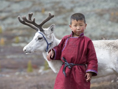 Visit to Reindeer Herders - 14 days