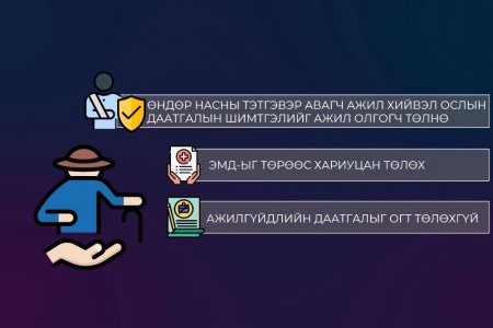 Тэтгэвэрт гарсан иргэн ажил хөдөлмөр эрхэлж байгаа тохиолдолд НДШ төлөхгүй байж болно