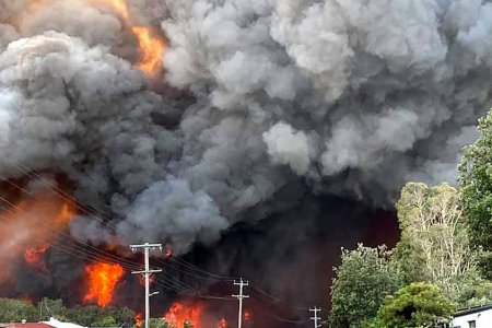 Ой хээрийн түймрийн улмаас Австралийн хоёр мужид гамшгийн онц байдал зарлалаа