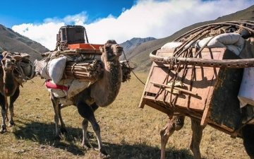 ЮНЕСКО: Соёл бол улс орны нийгэм, эдийн засгийн хөгжлийг дэмжих гол хөдөлгөгч хүчин зүйл