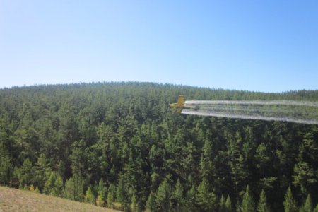 Ойн хөнөөлт шавьжтай тэмцэж буй манай арга технологи дэлхийн жишигт нийцсэн гэв