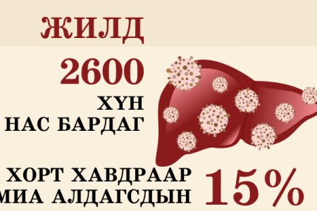 Манай улсад  элэгний хатуурал болоод хорт хавдрын улмаас жилд дунджаар 2600 хүн нас бардаг байна 