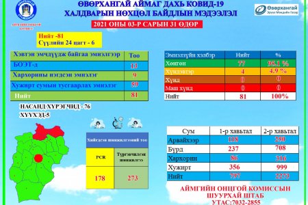 2021.03.31 ковидын мэдээлэл