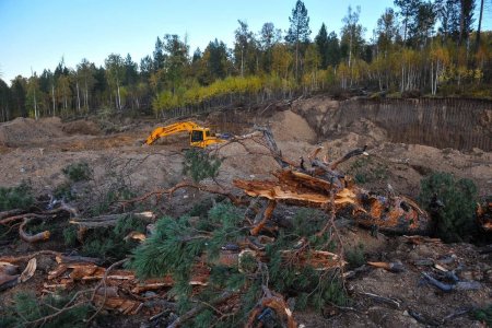 Хууль бус алт олборлолтыг зогсоов