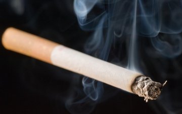 Монгол улсын насанд хүрсэн нэг хүнд жилд 160 хайрцаг тамхи ногдож байна
