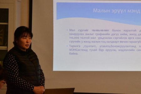 Ц.Болормаа: Урьдчилан сэргийлэх төлөвлөгөөт тарилга, туулгад хамрагдуулаагүй малыг зах зээлд худалдаалах боломжгүй болсон