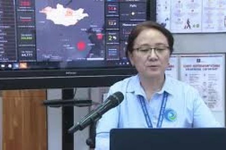 COVID-19!!! НЭМҮТ-ийн эрдэм шинжилгээний ажилтан Ш.Батдэлгэр: Нүхэн жорлонгийн халдваргүйжүүлэлт