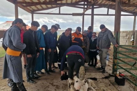 ЦАХИЛГААН ХАЙЧААР ХОНЬ ХЯРГАХ, НООС АНГИЛАН ЯЛГАХ СУРГАЛТ ЗОХИОН БАЙГУУЛАГДАЖ БАЙНА.