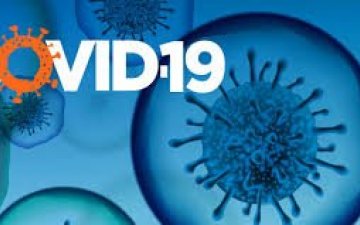 “Ковид-19”-ийн халдвараар хүнд, хөнгөн өвчилснөөс хамаарч хүний биед үүсэх эсрэг биеийн тоо харилцан адилгүй байна