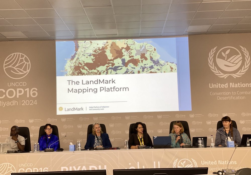 Presentation on the experience of developing rangeland monitoring system to improve rangeland management in Mongolia 