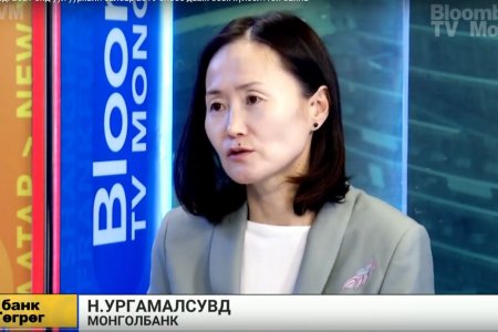 Н.Ургамалсувд: ирэх онд уул уурхайн салбар огцом өссөнөөр эдийн засгийн өсөлтийг тэтгэхээр байна